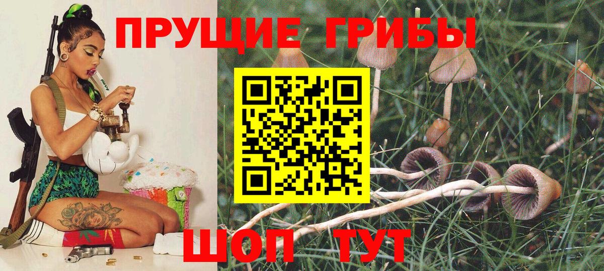 Барнаул  где купить   Вход с VPN  Псилоцибиновые грибы мухоморы 
